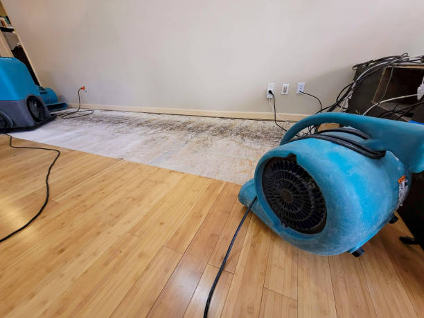 Reliable Flood Damage Restoration contractor in Liberty, NC by Hirex Water Damage